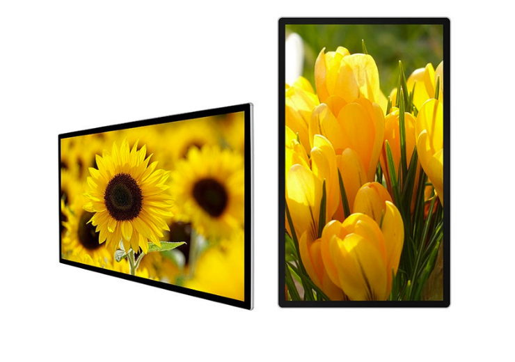50-inch Retail LCD Signage Display