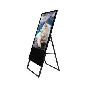 Best Digital Signage