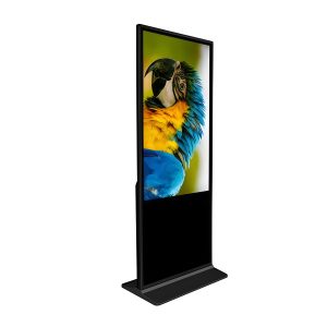Digital Signage Kiosk